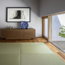 前室と地窓先のモミジ (浜松Ｈ邸　－庭とリビングが一体化する平屋の邸宅－)