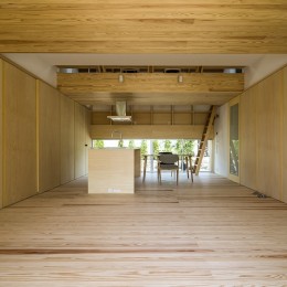 ダイニングキッチン (castor/単純な大屋根形状に普遍的な間取りを、立体的断面形状で組み込んでみる。)
