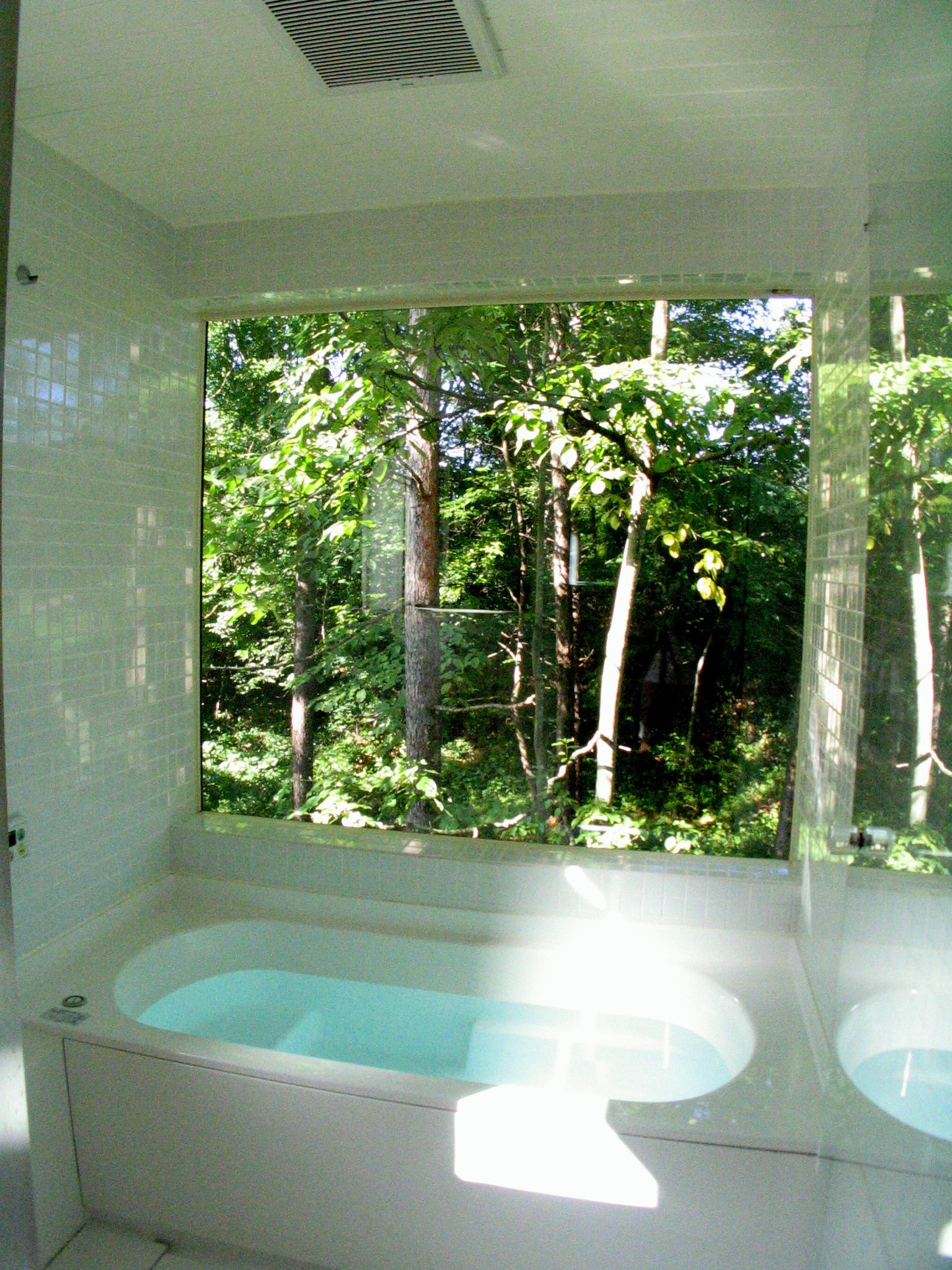 バス/トイレ事例：軽井沢の家　浴室（軽井沢の家～木々を一切切らずそのままの敷地を生かし、そこにそっと置いてあげたような住宅～）