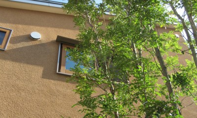 小さな家～緑の中で暮らす木のｱﾄﾘｴ付住宅～ (2階窓の借景をつくる)