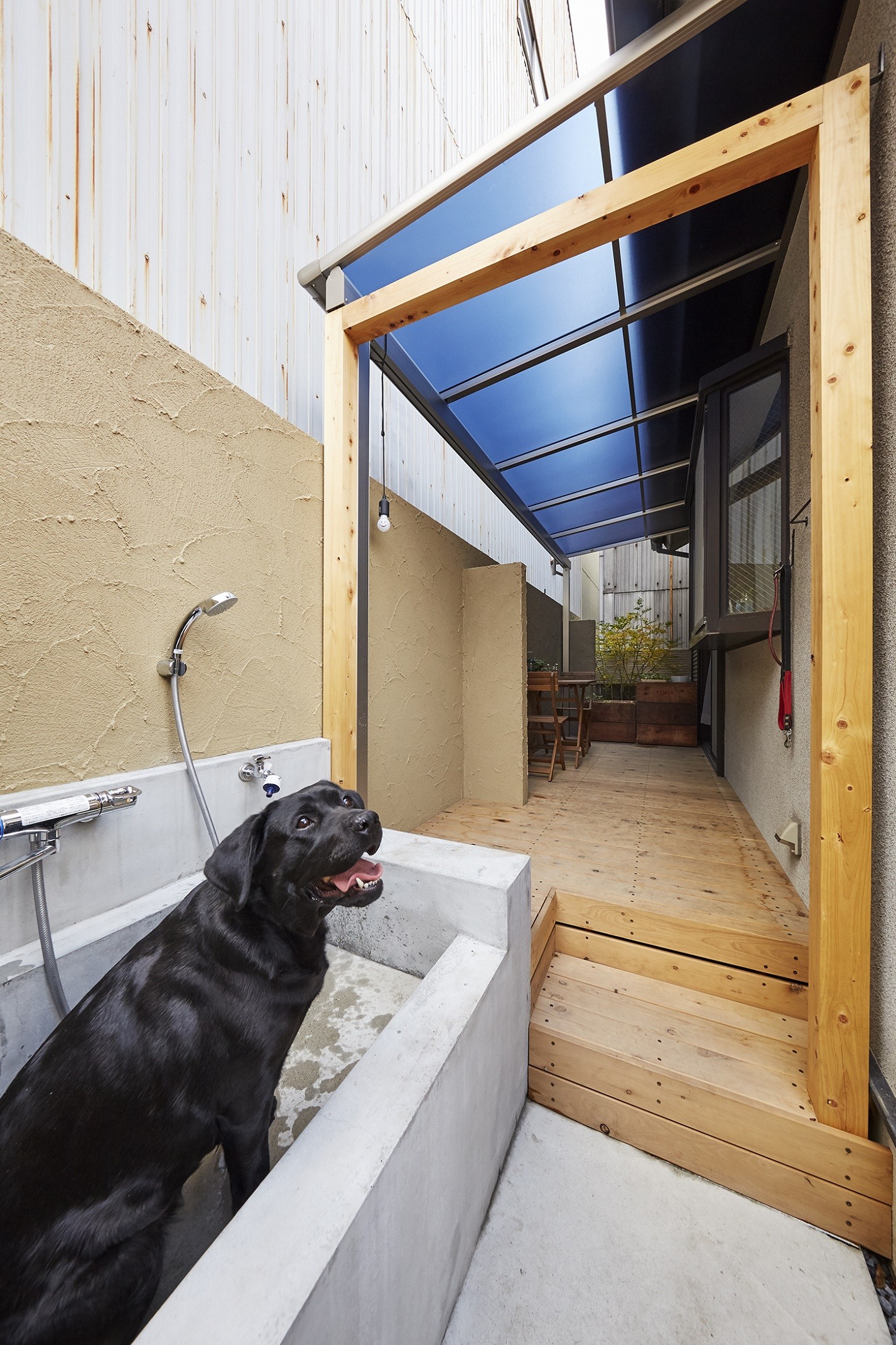 愛犬と快適に暮らせる工夫を凝らしたペットリフォーム 戸建リノベーション事例 Suvaco スバコ