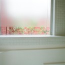 浅草の家―２階にある庭の写真 浴室から屋上庭園を眺める