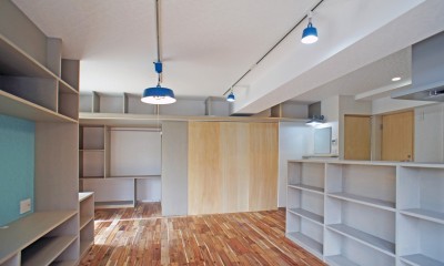 カグ　ノ　モリ　- 壁面全面造作家具のリノベーション - (LDKから個室の眺め)