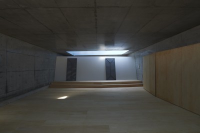 ボックスインボックスの浴室と個室 (地上に浮いた地下の家　-高密度商業地域に立つRC３階建ガレージハウス-)