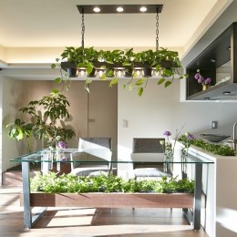 「GREEN DAYS」リノベーション×室内緑化で、理想の住まいを形にしていく