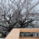 松庵の家 樹々と共生する家の写真 屋上デッキ