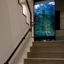 TB山荘の写真 階段