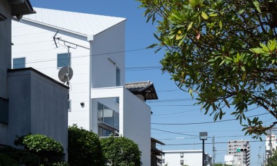 長居東の住宅 / House in Nagai-higashi (外観（北東側より見る）)