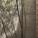 突抜の町家/素材の質感 京町家リノベーションの写真 庭 / 植栽