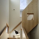 中野のSOHO / ツーバイフォー住宅のリノベーションの写真 階段