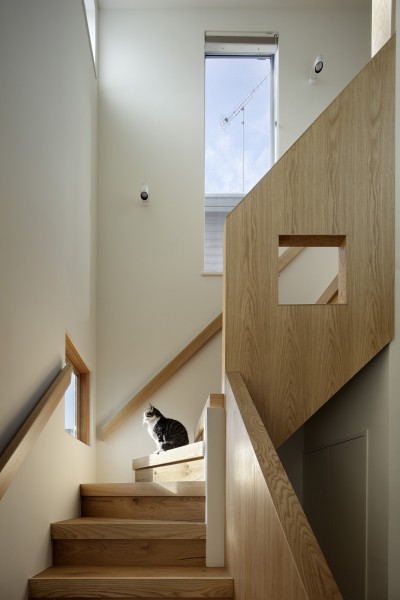 階段 (中野のSOHO / ツーバイフォー住宅のリノベーション)