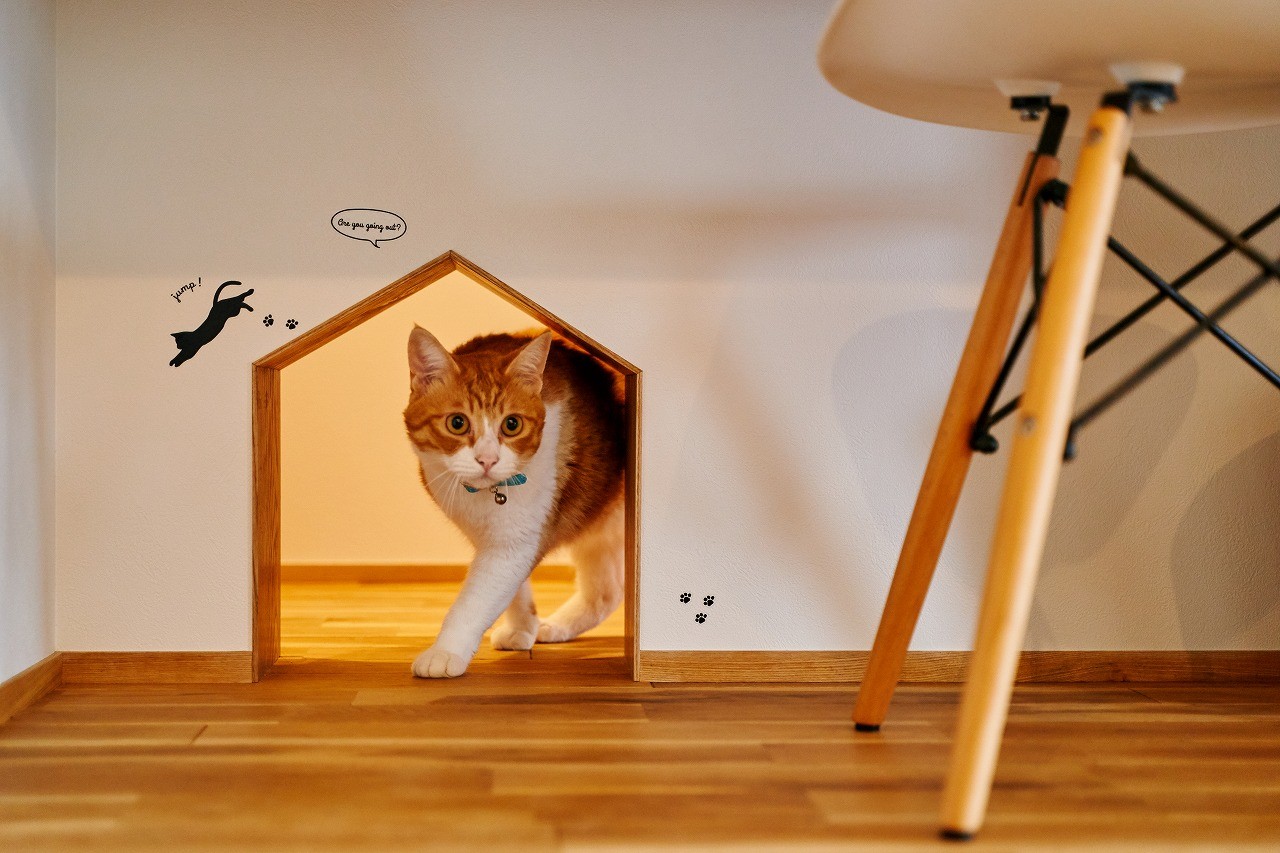 リビングダイニング事例：猫と暮らす庭付き戸建て（猫と暮らす庭付き戸建て）