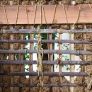 愛知の茅葺き再生［工事中］の写真 竹も土も再利用する