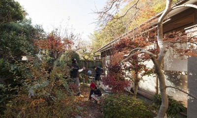 京田辺のリノベーション (庭)