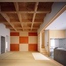 椿庵　― 茶室のある旗竿敷地の住宅 ―の写真 １階中央の８畳間