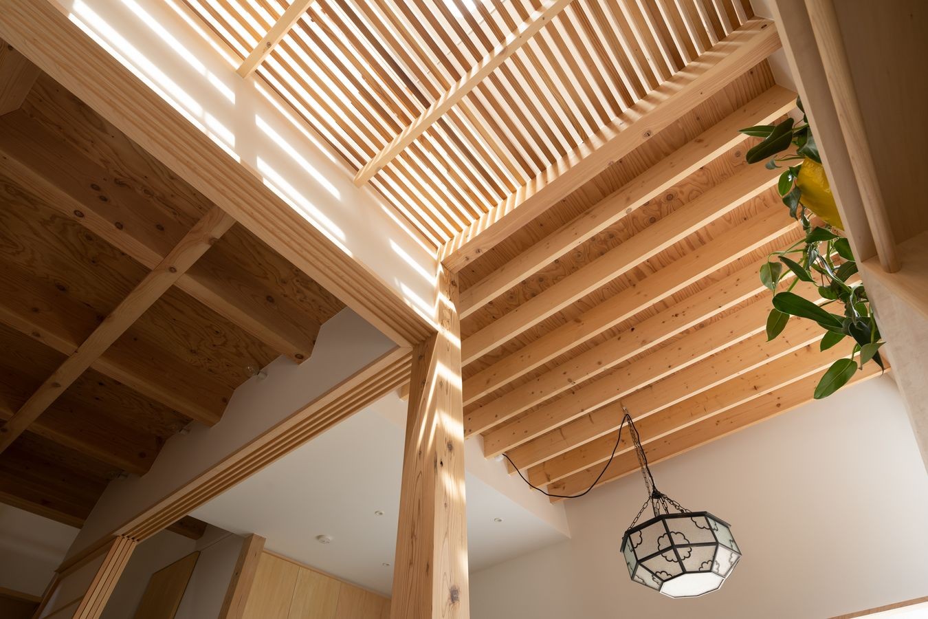 ４種類のの天井で空間が変化する 椿庵 茶室のある旗竿敷地の住宅 リビングダイニング事例 Suvaco スバコ