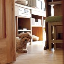 大阪府Ａさん邸：温かみのある木のキッチンが主役の、レトロナチュラルな空間の写真 愛犬と一緒に暮らす空間