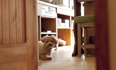 大阪府Ａさん邸：温かみのある木のキッチンが主役の、レトロナチュラルな空間 (愛犬と一緒に暮らす空間)