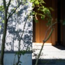 鎌ヶ谷の家D ー私だけの平屋ーの写真 玄関