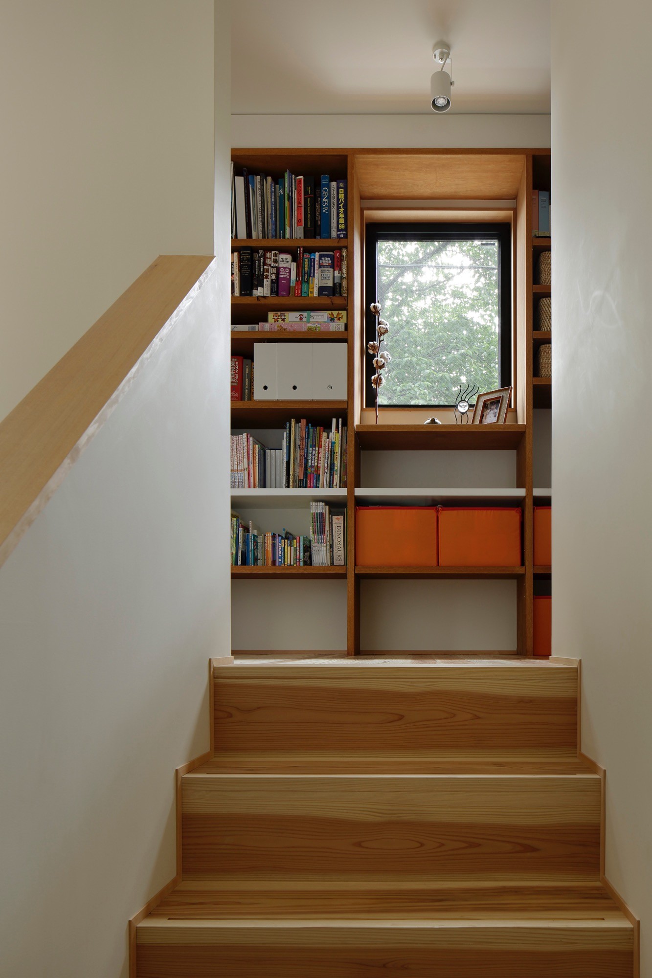 収納事例：階段と廊下（東五反田の住宅/ 空き家木造住宅のリノベーション）