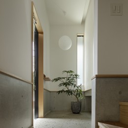 桜上水の住宅 / 半地下と屋上の効果-玄関