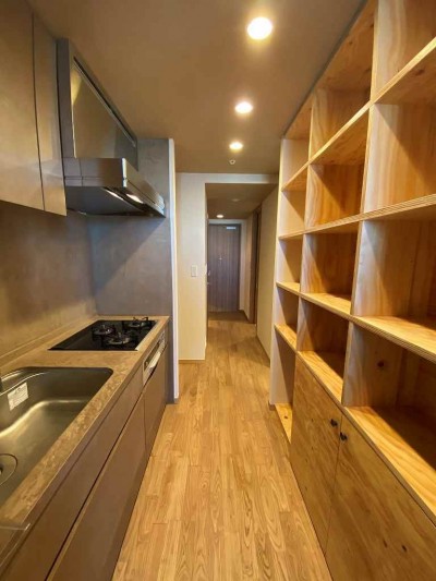 キッチンと収納棚 (無垢の床とモールテックス仕上げの部屋)