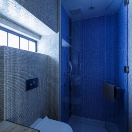 SENSUOUS-築50年以上の古さを生かし、デザインと素材にこだわった家づくり (トイレ・シャワー室)