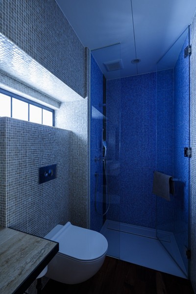 トイレ・シャワー室 (SENSUOUS-築50年以上の古さを生かし、デザインと素材にこだわった家づくり)