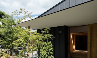 Hanare　-立体的な屋根形状の家- (外観)