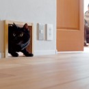 京都府Kさん邸：建具まで自然素材の空間で、子どももネコものびのびと。の写真 愛猫と暮らす家