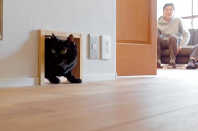 愛猫と暮らす家 (京都府Kさん邸：建具まで自然素材の空間で、子どももネコものびのびと。)