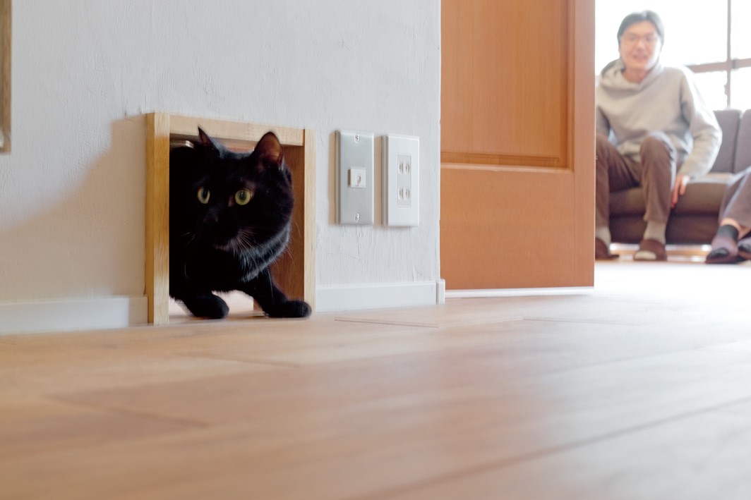 リビングダイニング事例：愛猫と暮らす家（京都府Kさん邸：建具まで自然素材の空間で、子どももネコものびのびと。）