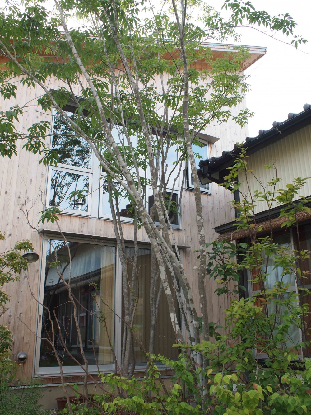 遠州おおやねの家〜とおり土間の家〜 (植栽は自然に)