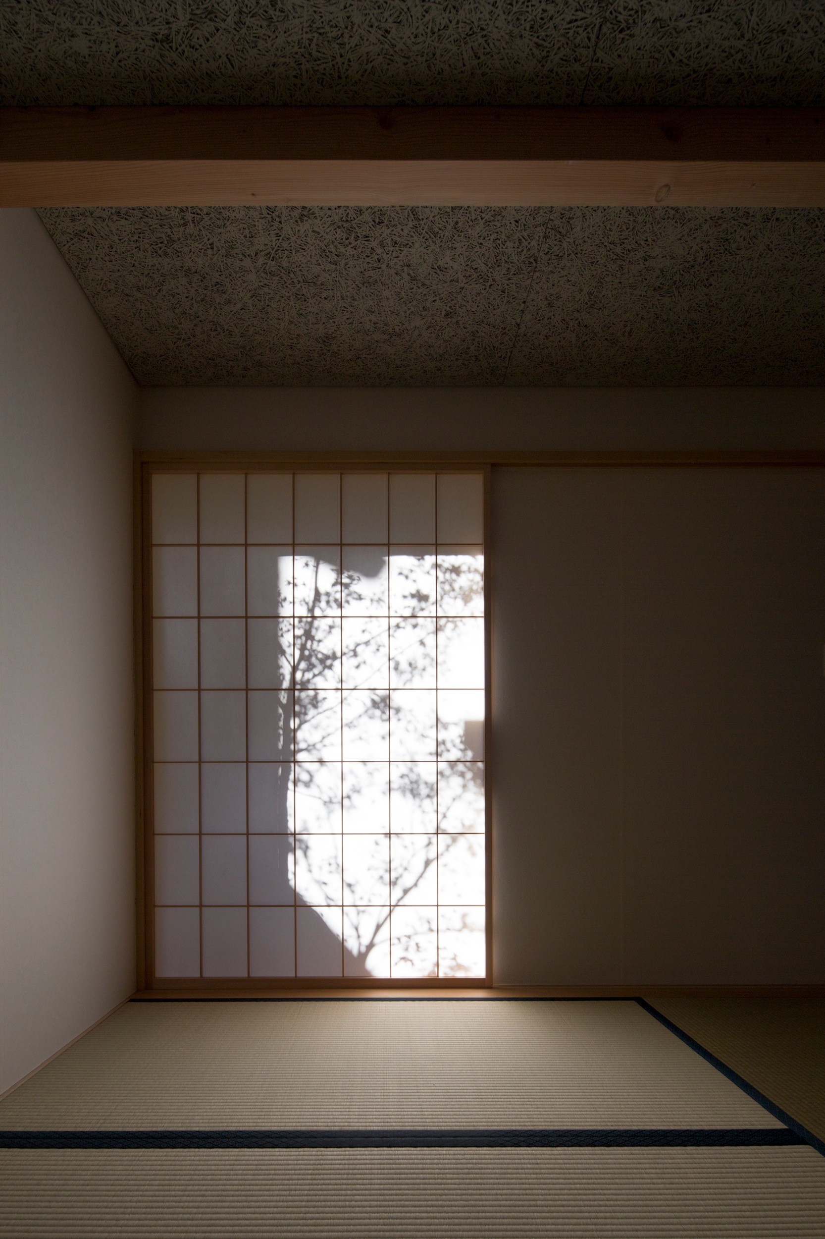 その他事例：1階の和室／障子に映る中庭の木の影が部屋の表情をつくります（日吉台の家／大きな屋根の下にスキップフロアで各部屋が繋がる大らかな住まい）