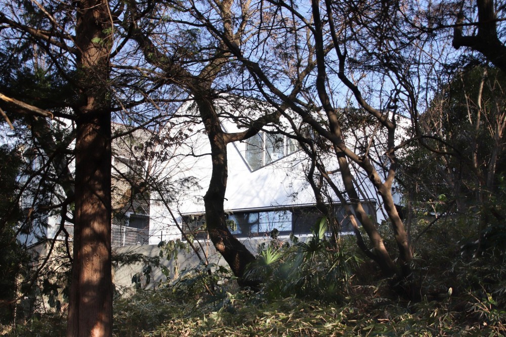 公園前の家　OUCHI-44 (公園の木々の間に見える様子)