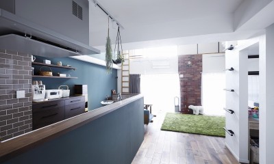 ブルーグリーンの壁が印象的な対面キッチン｜溶け合うテイスト