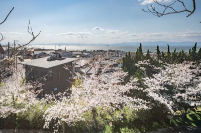城山公園から臨む青海の家と伊勢湾・春には桜が満開 (『青海の家』　風景と住む。～伊勢湾を臨む～)