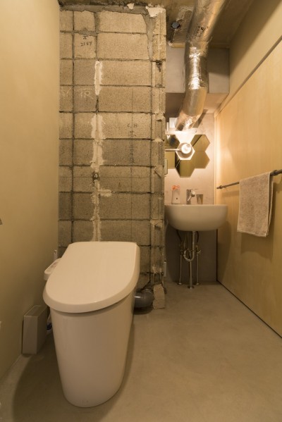 トイレ (日本初のコーポラティブハウスを紡ぐ)