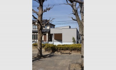 松戸の家４(FLAT HOUSE) (外観)