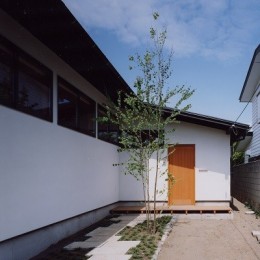 辻堂東海岸の家～大きな窓で緑の庭と一体になる平屋 (アプローチ)