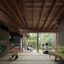扇垂木の家【建築賞受賞作品】の写真 畳のリビング