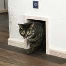 １階から２階へ　暗かったリビングがおひさまたっぷりの明るい空間にの写真 愛猫ラムちゃんの専用入り口