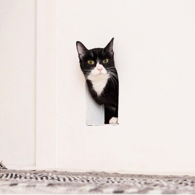 アトリエ2　―　愛猫用の小さな窓 (２つのトンネルのあるアトリエ)