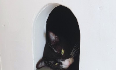 アトリエ2　―　愛猫用の小さな窓｜２つのトンネルのあるアトリエ