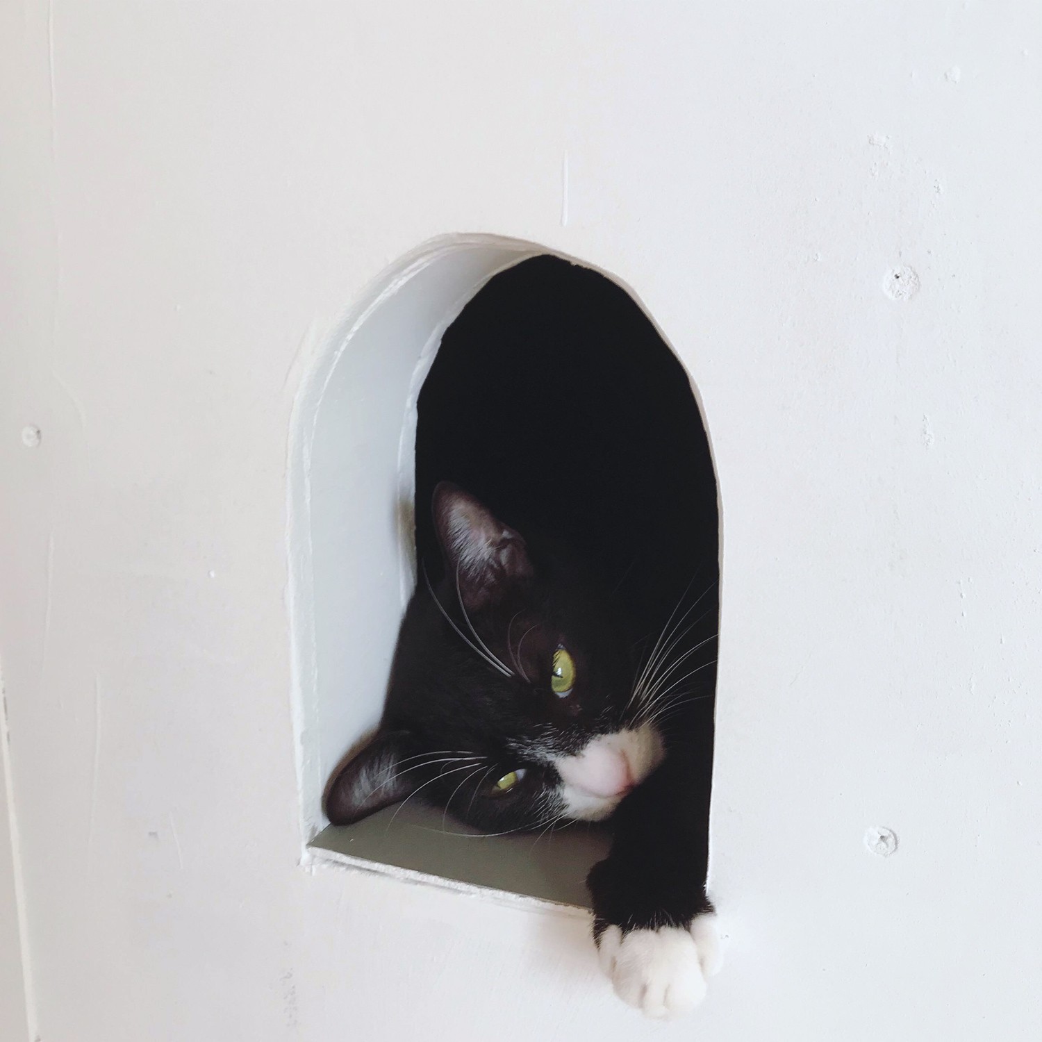 書斎事例：アトリエ2　―　愛猫用の小さな窓（２つのトンネルのあるアトリエ）
