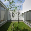 清水の家-simizuの写真 中庭