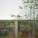 清水の家-simizuの写真 中庭2