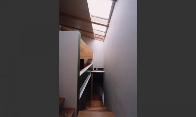 城陽の事務所＋二世帯住宅〜屋根を変形させた鉄骨＋木造３階建 (階段)