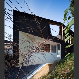 馬見丘の家〜Ryokuin　三角形で斜面地の敷地にたつ家 (外観側面２)