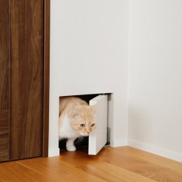 キッチンが主役。愛猫が自由に回遊できる100平米超のリノベーション。 (冬の隙間風解消！愛猫もうれしいくぐり戸)